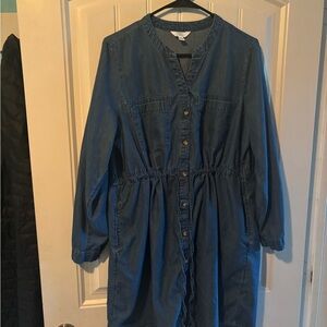 Time and Tru Denim Dress
